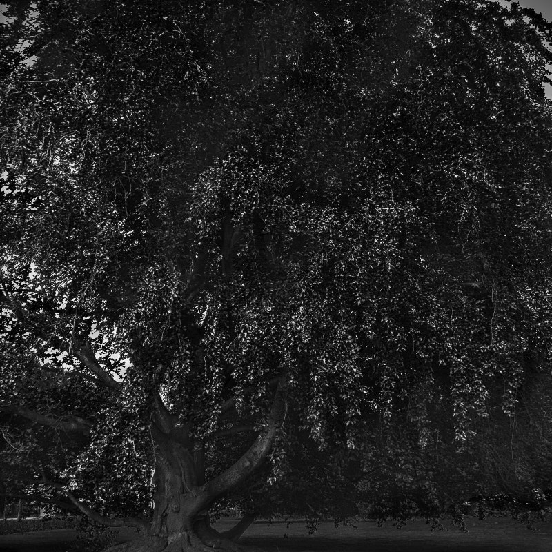 08.1 Abend SONY DSC